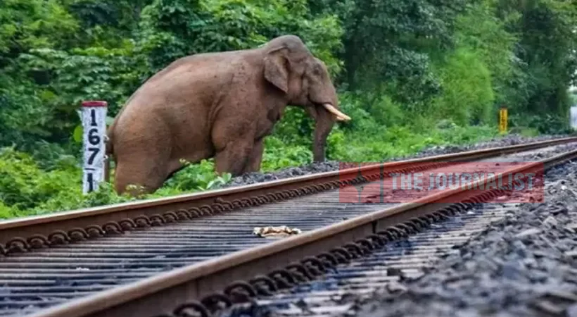 ആസാമിൽ രാജധാനി എക്‌സ്പ്രസ് ആനക്കൂട്ടത്തെ ഇടിച്ചുതെറിപ്പിച്ചു