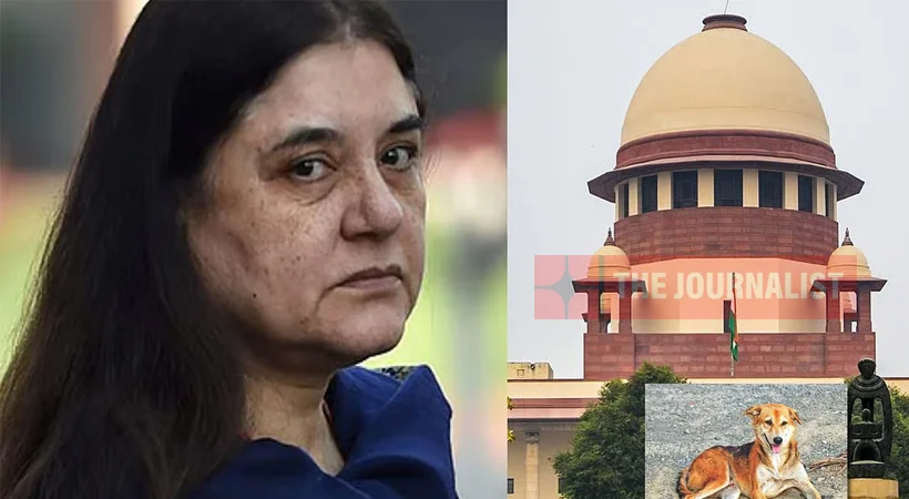 തെരുവ് നായ കേസ്: മനേക ഗാന്ധിക്കെതിരെ സുപ്രീം കോടതിയുടെ രൂക്ഷ വിമർശനം