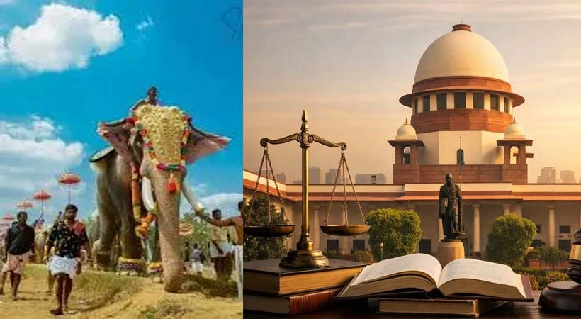 കേരളത്തിലെ ഏറ്റവും ഉയരം കൂടിയ ആന; രാമൻ ആനയെ സംസ്ഥാന സർക്കാർ ഏറ്റെടുക്കണമെന്ന് സുപ്രീം കോടതി